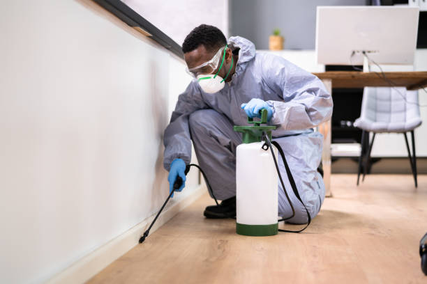 Reliable South Farmingdale, NY Pest control Solutions